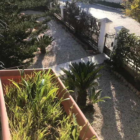 Burcu's House *